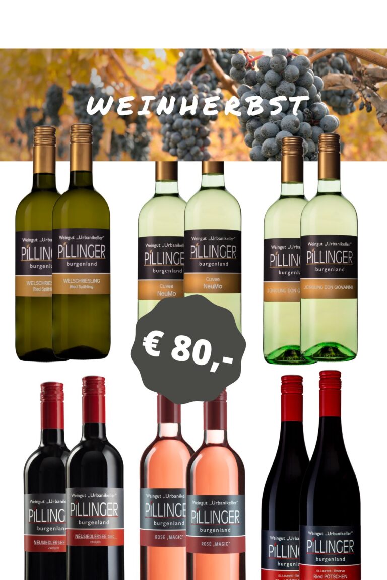 12er Weinpaket "Weinherbst"